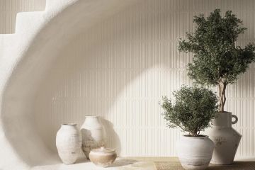 Paradyz MONPELLI