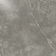 Ecoceramic PUCCINI Gris 120x120