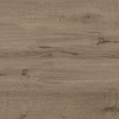 Stargres SUOMI 20 Brown