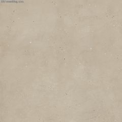 Porcelaingres STARDUST Stardust Clay 60x60