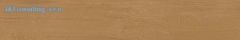 Rako PLANK DARVE895