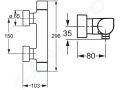 Hansa Tempra Style Termostatick sprchov batria, chrm